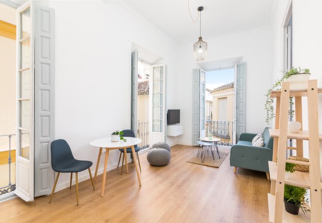 Apartamento en Málaga - S H Plaza de la Merced III