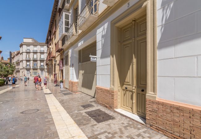 Apartamento en Málaga - S H Cathedral Apartamento en Málaga - S H Cathedral