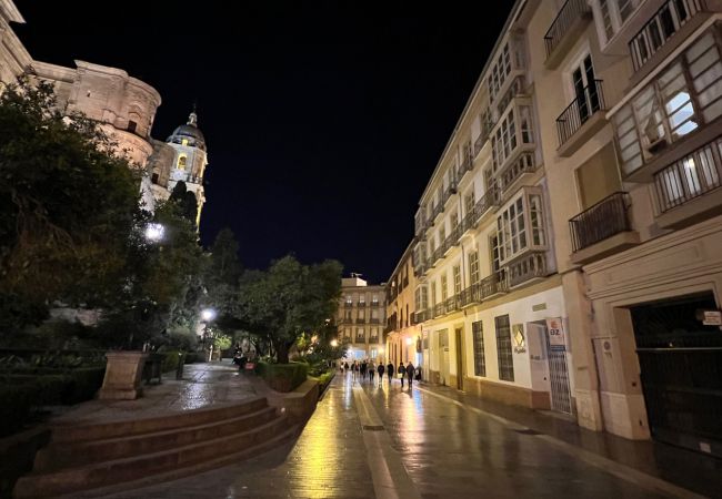 Apartamento en Málaga - S H Cathedral Apartamento en Málaga - S H Cathedral