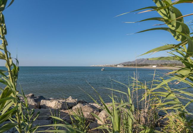 Apartamento en Málaga - S H Hesperides´s garden beach C Apartamento en Málaga - S H Hesperides´s garden beach C