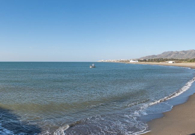 Apartamento en Málaga - S H Hesperides 914 Apartamento en Málaga - S H Hesperides 914