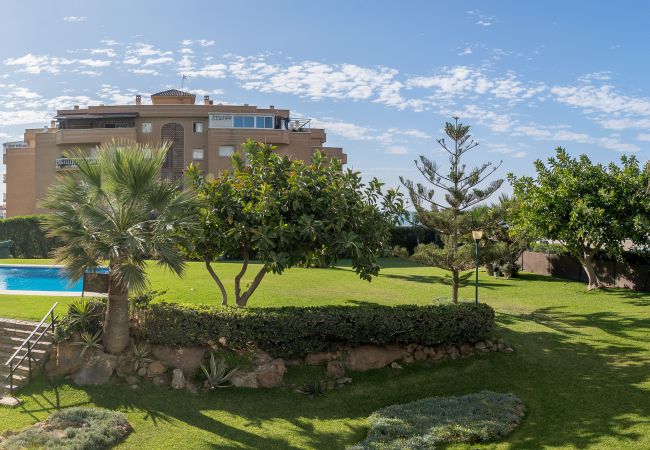 Apartamento en Málaga - S H Hesperides 914 Apartamento en Málaga - S H Hesperides 914
