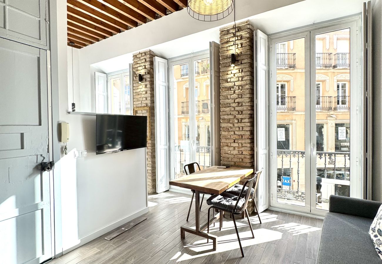 Apartamento en Málaga - S H Bright Carreteria I