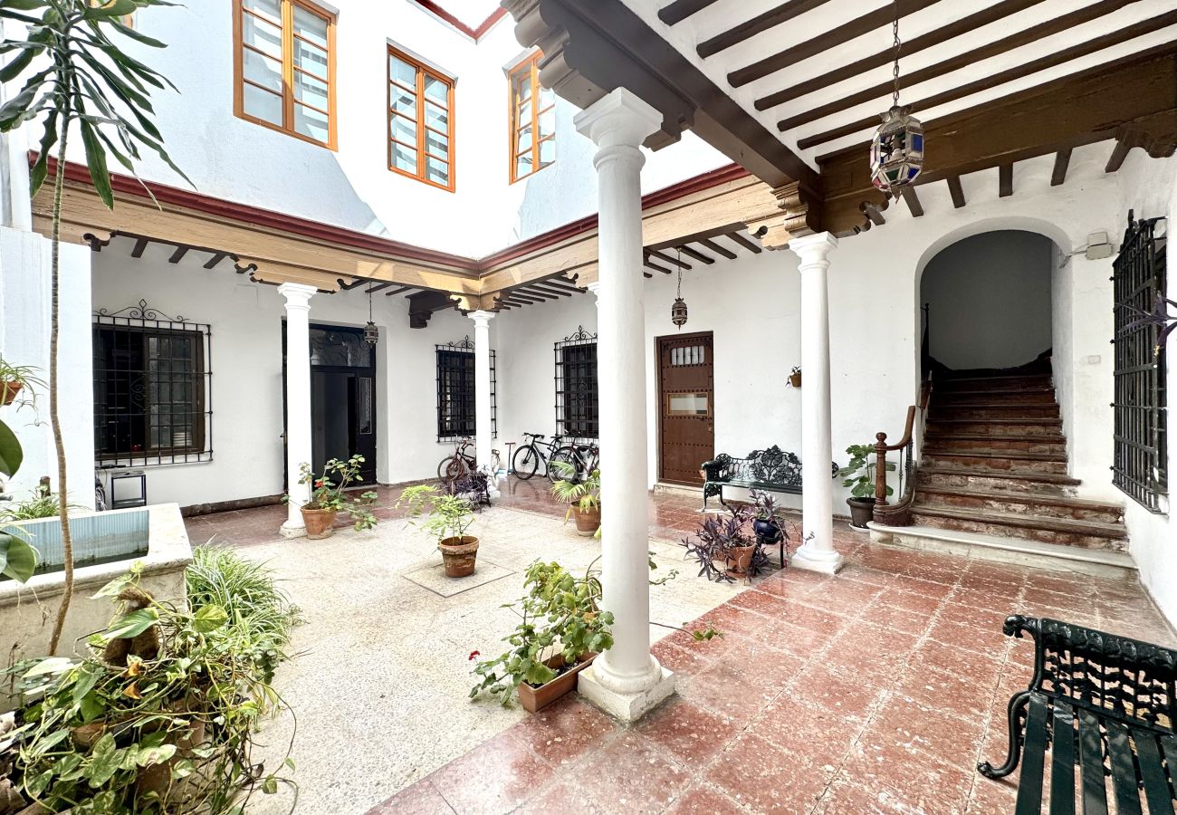 Apartamento en Málaga - SuiteHomes Luxury Beatas