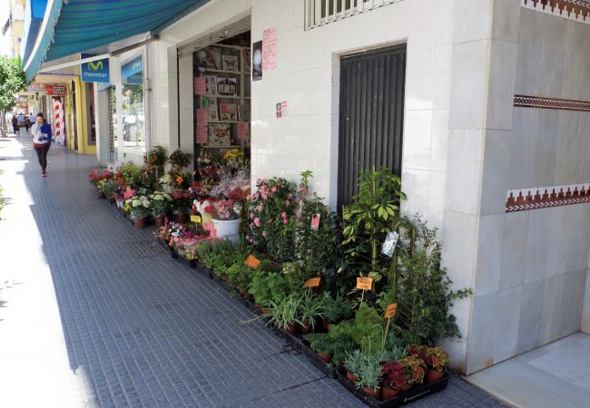 Apartment in Málaga - S H La Victoria Apartment in Málaga - S H La Victoria