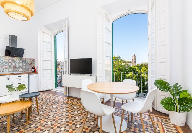 Apartment in Málaga - S H Plaza de la Merced I Apartment in Málaga - S H Plaza de la Merced I