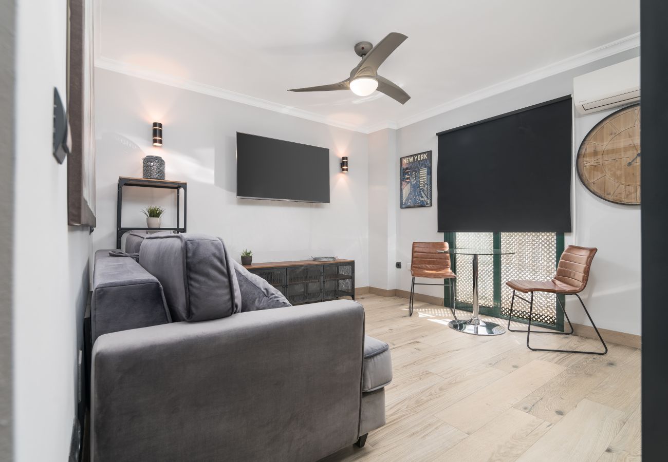 Apartment in Málaga - S H Agua